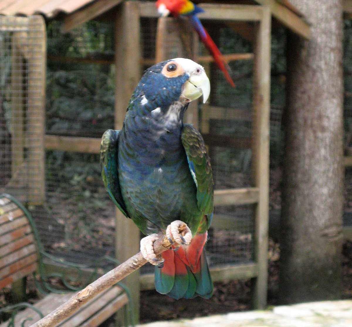 Foto 4